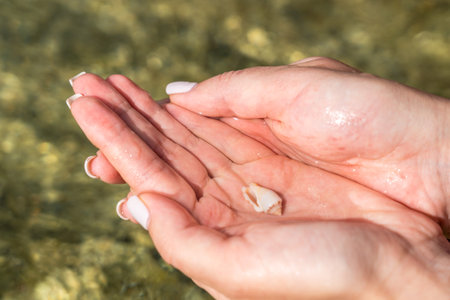Small white seashell in woman's handの写真素材