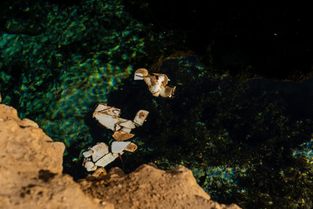 Rubbish in rock river. Water pollution. Ecological problemの写真素材