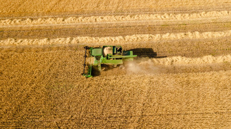 Aerial view of wheat harvest. Drone shot flying over combine harvester working on wheat field.