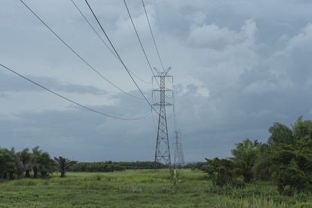 electric pole crossing farmの写真素材