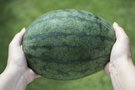 watermelonの写真素材