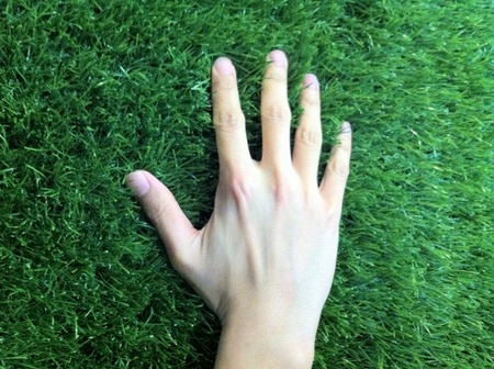 Human hand on green grassの素材