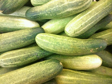Fresh cucumbersの素材