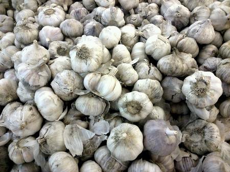 Garlic bulbsの素材