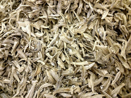 Anchoviesの素材