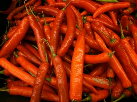 Red chiliesの素材