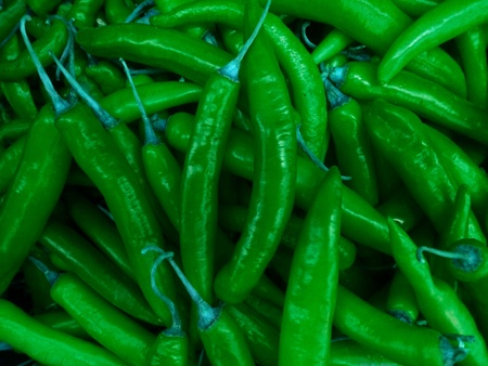 Closeup of green chiliesの素材