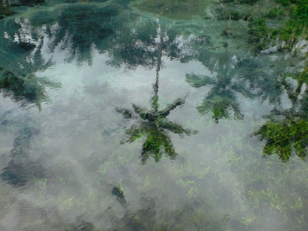 Reflection of coconut trees in rippled spring waterの素材