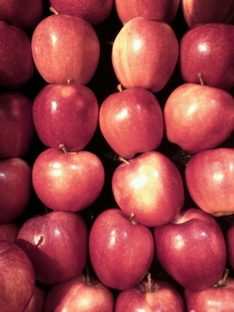 Fresh red applesの素材