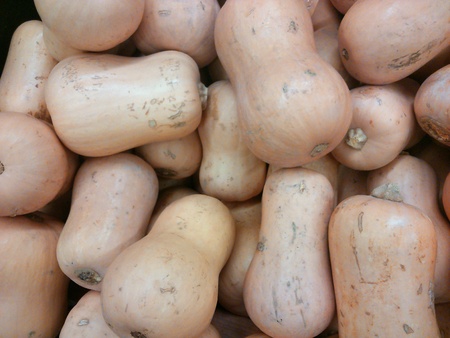 Fresh gourdsの素材