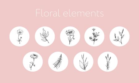Set of Hand Drawn design element with flower and leaf. Hand Boho Flower design.のイラスト素材