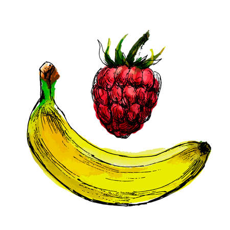 vector of raspberries and bananas. Hand-drawn and colored illustrationのイラスト素材