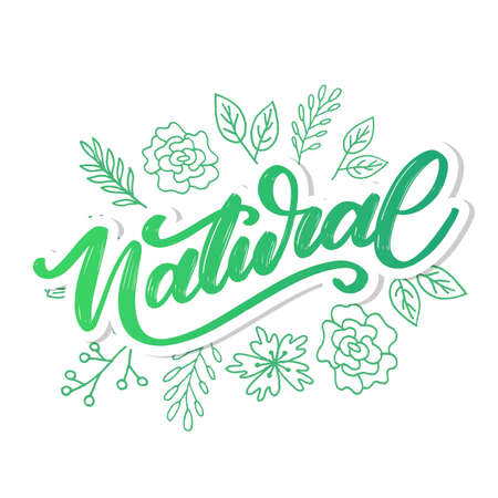 100 Natural Vector Lettering Stamp brushのイラスト素材