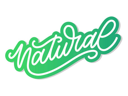 100 Natural Vector Lettering Stamp brushのイラスト素材