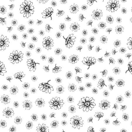 Cute seamless pattern with white chamomiles on a pastel yellow backgroundの写真素材