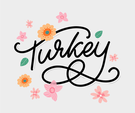 Turkey Lettering. Handwritten name of the country. Vector design template.のイラスト素材