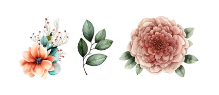 Set of floral elements. Flower and green leaves. Wedding concept - flowers. Floral poster, invite. Vector arrangements for greeting card or invitation designのイラスト素材