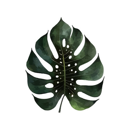 vector tropical leaf, monstera. watercolor illustration exotic plantのイラスト素材