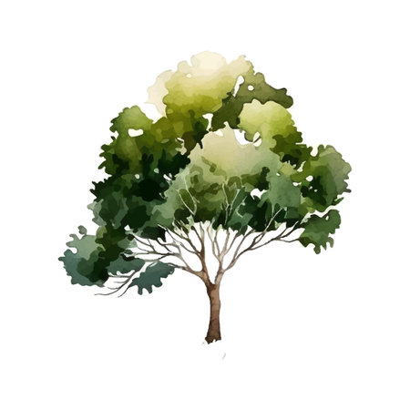 Watercolor tree hand draw vector nature paintingのイラスト素材