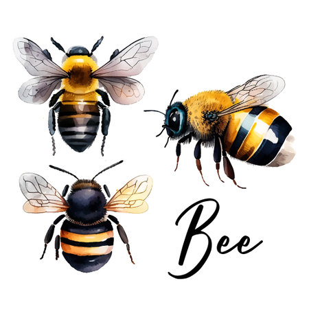 Colorful bee watercolor in beautiful style. Hand drawn vector illustration. Garden nature. Vector collection.のイラスト素材