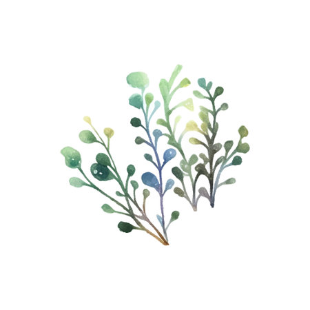 Seaweed watercolor. Vintage botanical illustration. Vector decoration. Hand drawn sketch.