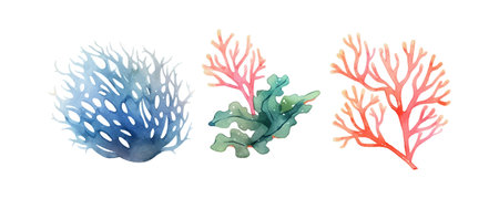 Seaweed watercolor. Vintage botanical illustration. Vector decoration. Hand drawn sketch.のイラスト素材