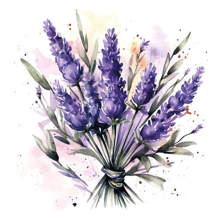 Purple lavender bouquet watercolor in retro style on white background.のイラスト素材