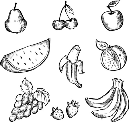 Set of sketches of opular fruitsのイラスト素材