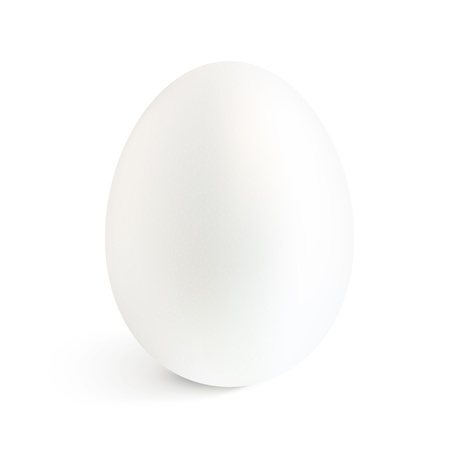 White isolated realistic egg with shadowのイラスト素材