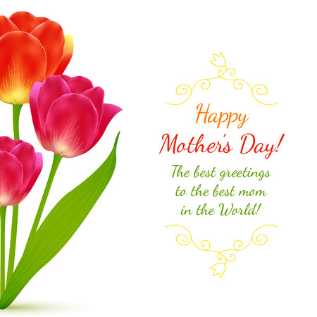 Buquet of red vector tulips for Mother's Dayのイラスト素材