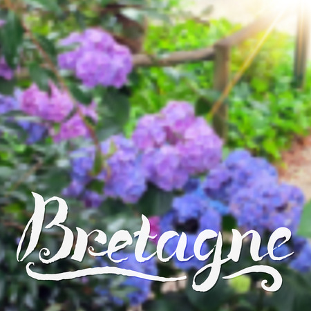 Brittany summer background with hand-drawn calligraphy signのイラスト素材
