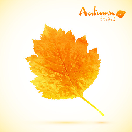 Autumn watercolor leafのイラスト素材