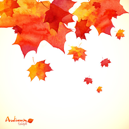 Watercolor painted orange maple leaves autumn backgroundのイラスト素材