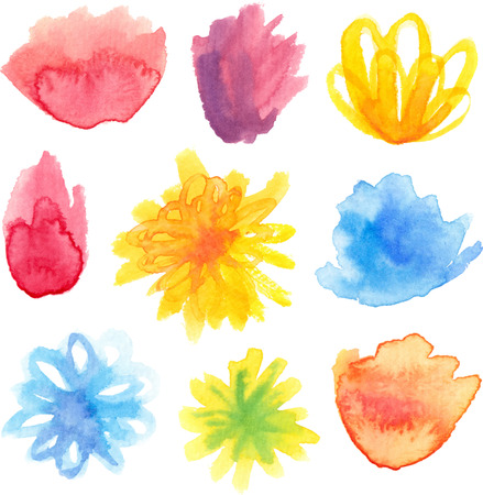 Vector set of bright watercolor floral blossomsのイラスト素材