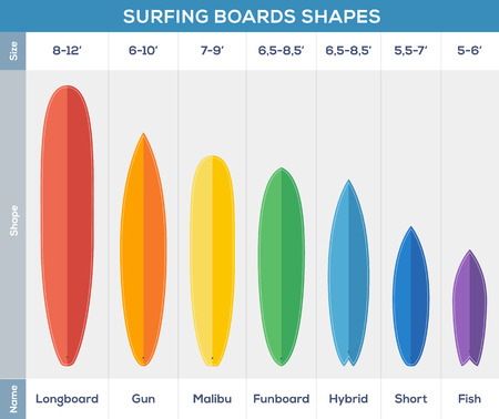 Surfing boards types vector infographicのイラスト素材