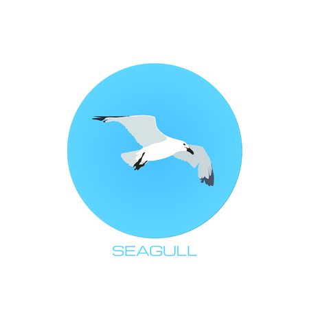 White vector seagull at blue sky round backgroundのイラスト素材