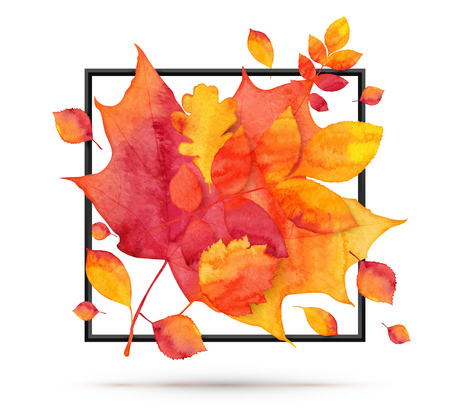 Red and orange vector autumn maple leaves in black frame isolated on white backgroundのイラスト素材