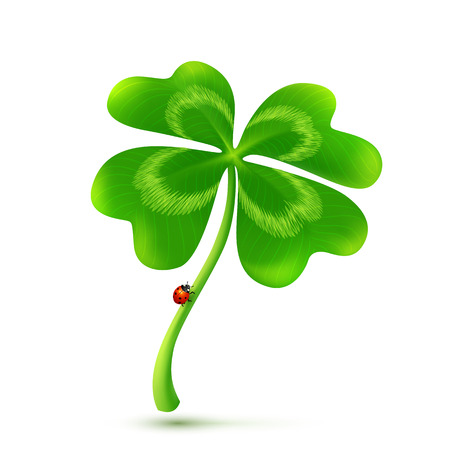 Vector four-leaf clover isolated on white backgroundのイラスト素材