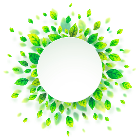 White vector paper frame on green watercolor summer leaves isolated on white backgroundのイラスト素材