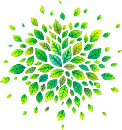 Green watercolor summer leaves vector splash isolated on white backgroundのイラスト素材