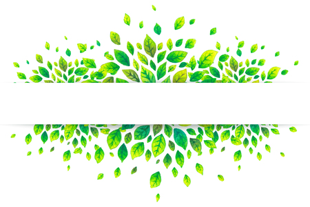 White paper stripe banner on green summer leaves vector backgroundのイラスト素材