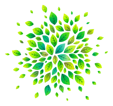 Green cartoon style vector leaves splash isolated on whiteの写真素材