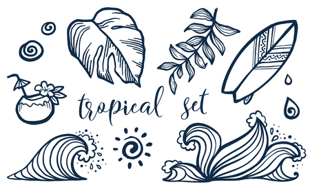 Vector tropical elements set, surfing board, coconut cocktail, waves and leavesのイラスト素材