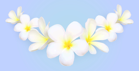 White frangipani flowers vector border on blue backgroundのイラスト素材
