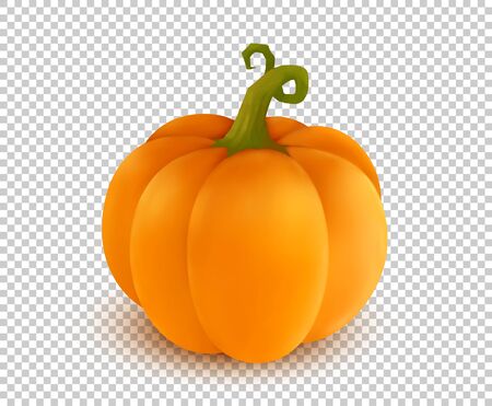 Vector realistic orange pumpkin in cartoon style on transparency grid imitation backgroundのイラスト素材
