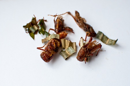 street food Deep-Fried Grasshoppers with crisp Parsleyの写真素材
