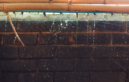 Grunge and dirty of Brick wall with lichen and flowing water, splatter.の写真素材