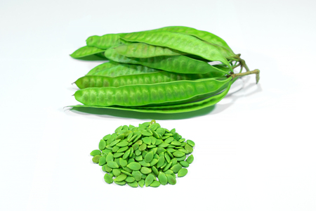 Close up view. Leucaena leucocephala (Lamk.) de Wit. or Lead tree green seeds and sheath isolated on white background.の写真素材