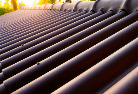 Leading lines view. Dark brown roof behind the trees with flare. During the sunset time.