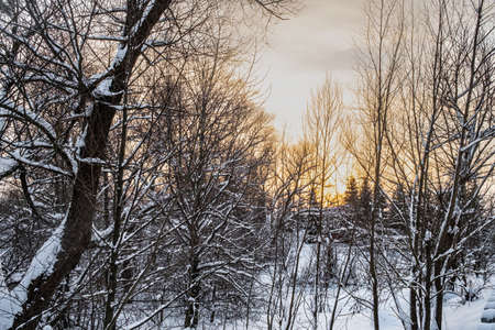 Beautiful Sunset Sunrise Sun Sunshine In Sunny Winterの写真素材